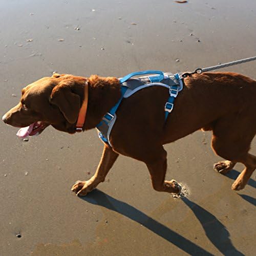 רתמת כלבים של קורגו לכלבים גדולים, בינוניים וקטנים | רתמה רפלקטיבית לריצה, הליכה וטיולים | הרפתקאות יומיומיות